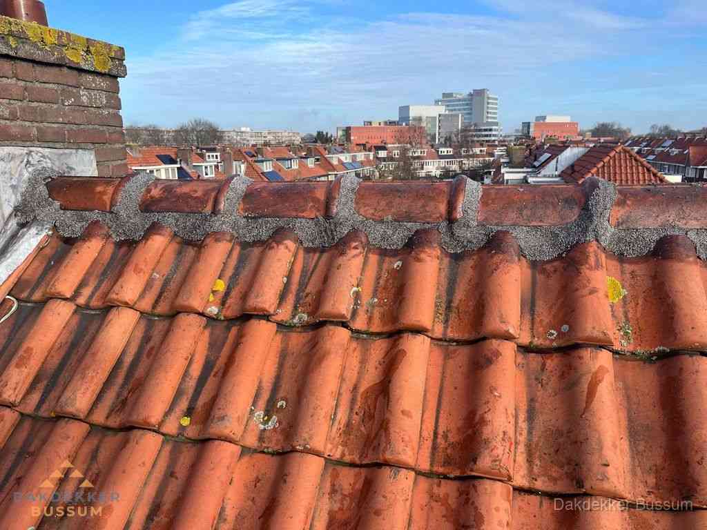 Nieuw bitumen plat dak met uitzicht over woonwijk in Bussum Nieuw bitumen plat dak met uitzicht over woonwijk in Bussum